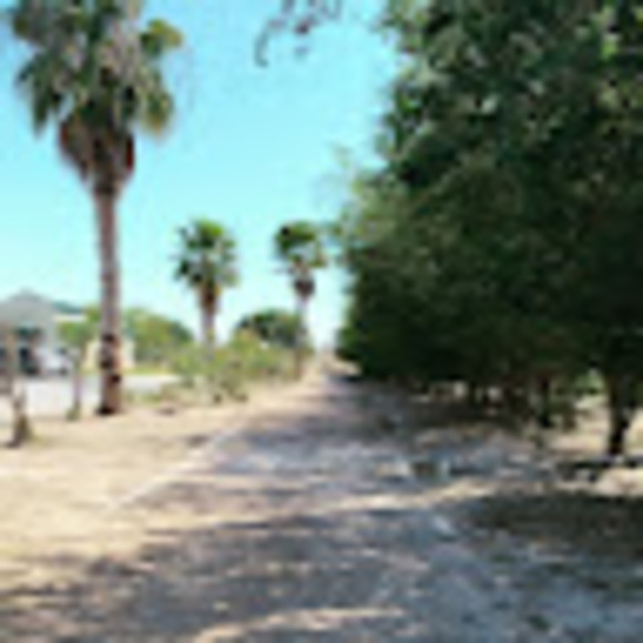 Meet your Posher, Priscila - Picture 1 of 1